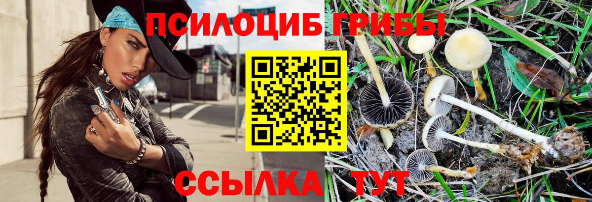 Псилоцибиновые грибы ЛСД Нижневартовск