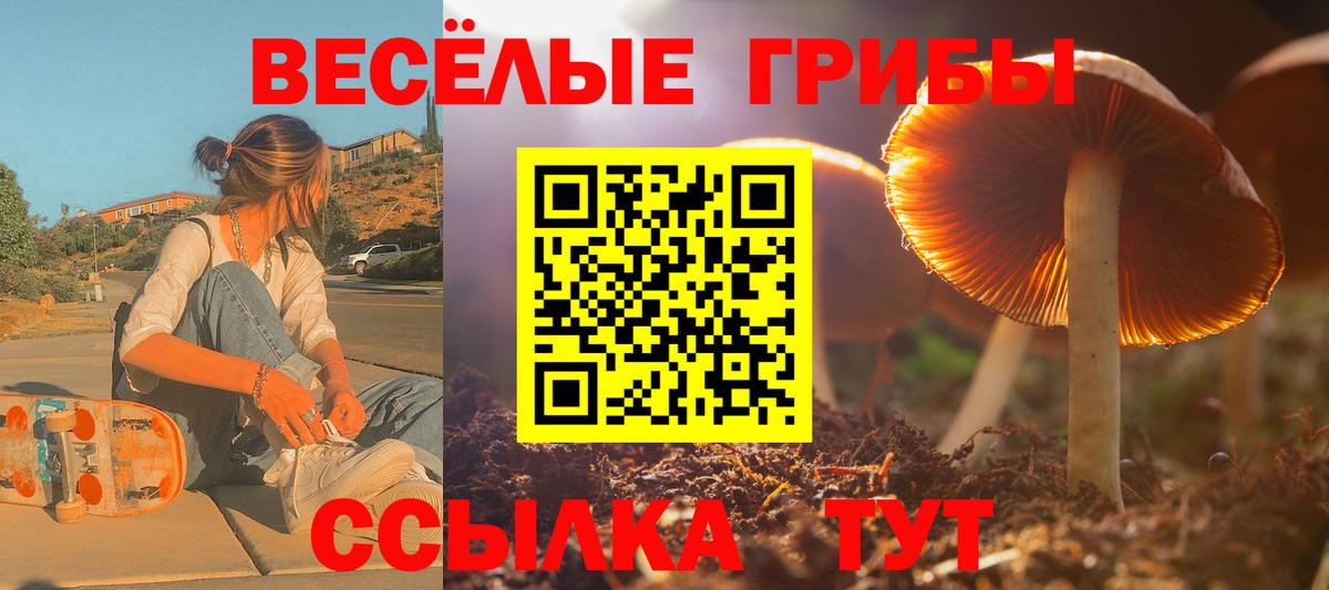 Нижневартовск  Галлюциногенные грибы Cubensis  Вход с VPN  Псилоцибиновые грибы GOLDEN TEACHER 